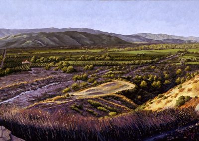 Asquith Perch - Oil - 15 x 30