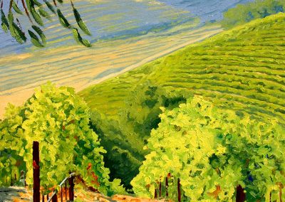 Rolling Vineyard - Oil - 18 x 24