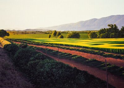 Santa Ynez Sunrise - Oil - 36 x 72