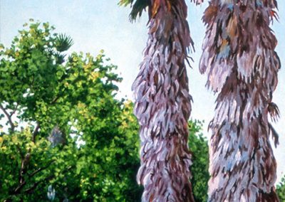 Twin Palms  -  Oil  -  24 x 48