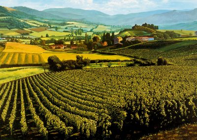 Vineyards  -  Acrylic  -  24 x 36