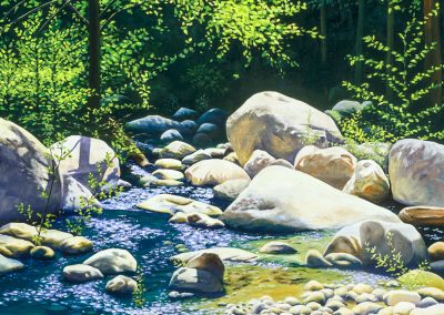 Without a Paddle    Oil    36 x 36