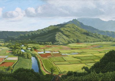 Hanalei Valley  -  Oil  -  20 x 50