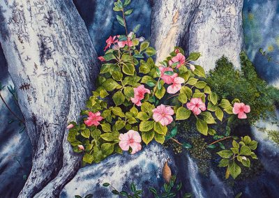 Impatiens  -  Watercolor  -  12 x 18