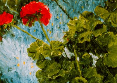 Geranium  -  Oil  -  9 x 12
